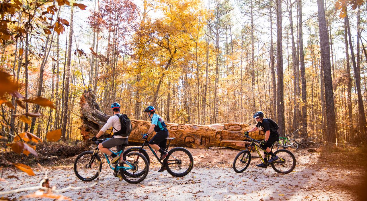 Passeio de mountain bike em um dia de outono no William B. Umstead State Park