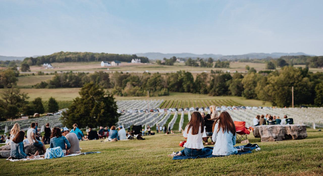 Passeio à tarde nas pitorescas Arrington Vineyards