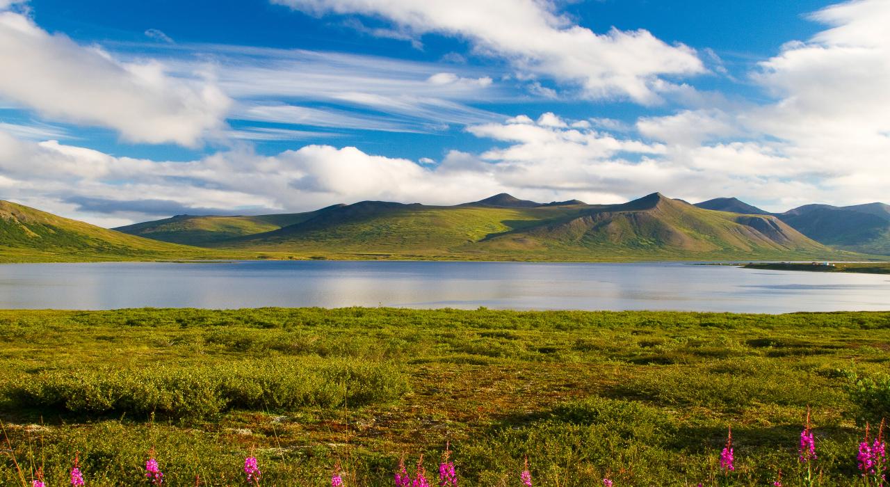 Colorful summer scenery in the mountains 