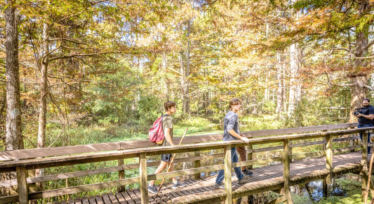 Birdwatching at Northlake Nature Center in Mandeville