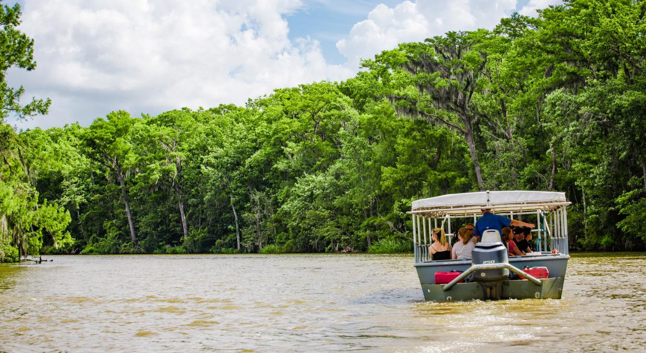 Touring Honey Island Swamp, one of many ways to explore the flora and fauna of The Northshore