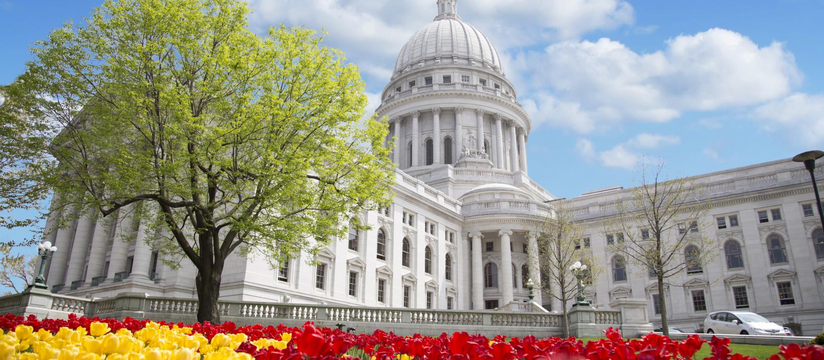 Tulips outside the state capitol building in Madison