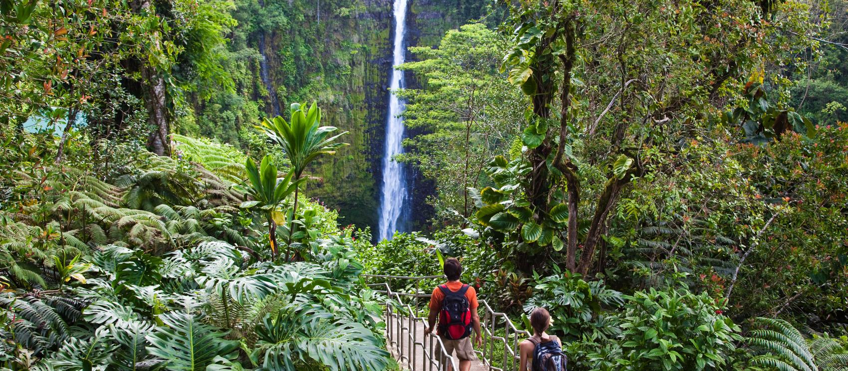 Hiking through lush tropical greenery at ʻAkaka Falls State Park on Hawaiʻi Island